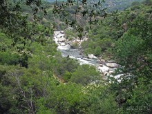 Есть три реки и цветущие царь-юкки