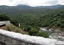 Альбом отзыва "Есть три реки и цветущие царь-юкки"