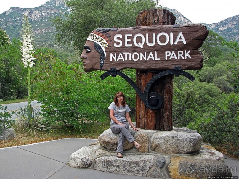 Есть три реки и цветущие царь-юкки