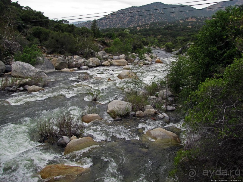 Есть три реки и цветущие царь-юкки