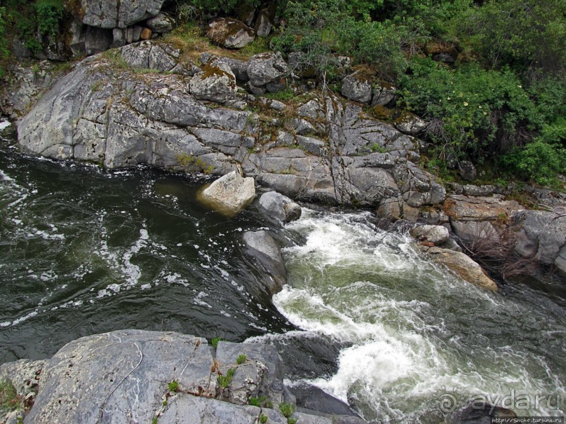Есть три реки и цветущие царь-юкки