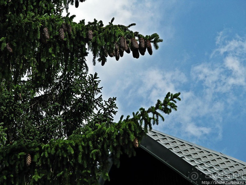 Чем живет черногорский горнолыжный курорт летом? Жабляк