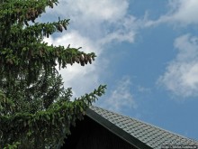 Чем живет черногорский горнолыжный курорт летом? Жабляк