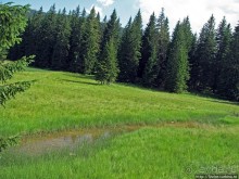 Чем живет черногорский горнолыжный курорт летом? Жабляк