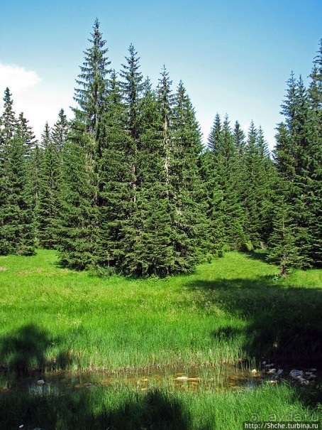 Чем живет черногорский горнолыжный курорт летом? Жабляк