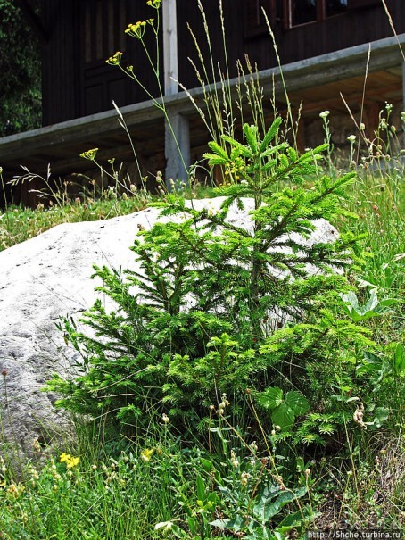 Чем живет черногорский горнолыжный курорт летом? Жабляк