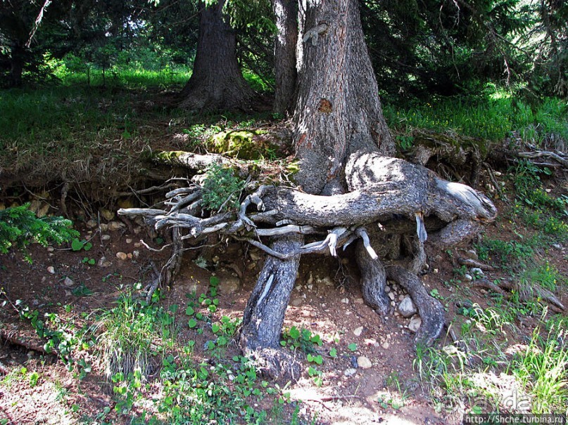 Чем живет черногорский горнолыжный курорт летом? Жабляк