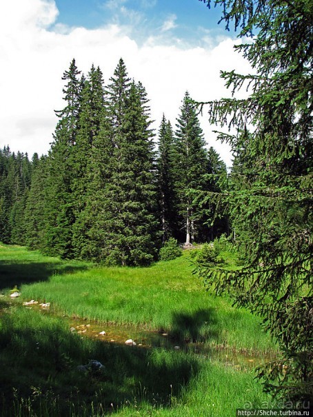 Чем живет черногорский горнолыжный курорт летом? Жабляк