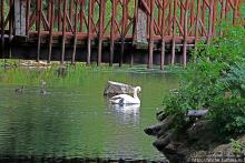 Замок Кэр — красота с ограниченным доступом