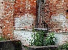 История родного края. Старый монастырь для старых казаков