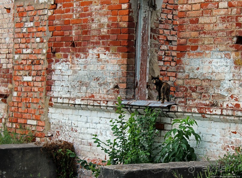 фото Запорожья