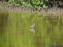 Альбом отзыва "Искали пляж — попали в заповедник"