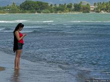 Альбом отзыва "Искали пляж — попали в заповедник"