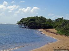 Альбом отзыва "Искали пляж — попали в заповедник"