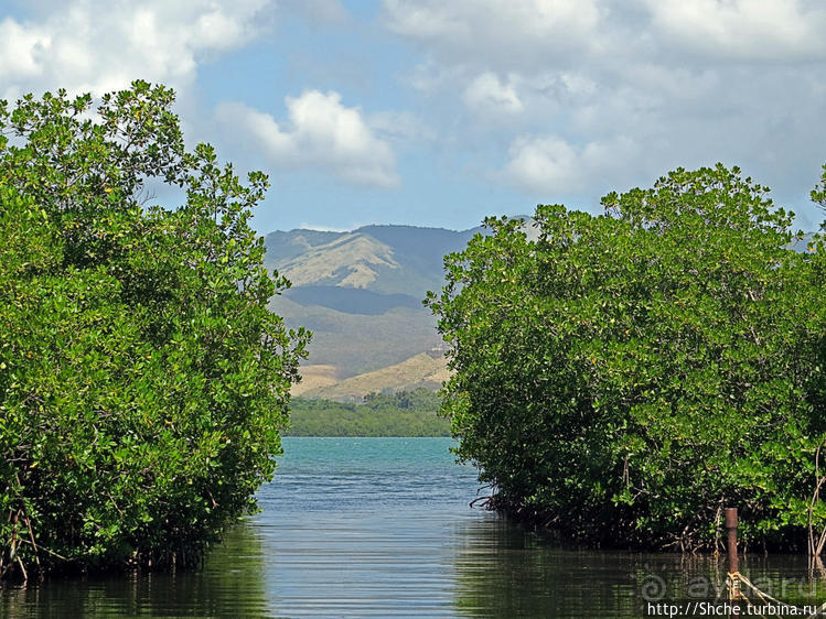 Искали пляж — попали в заповедник
