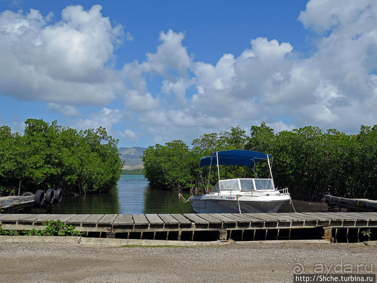 Искали пляж — попали в заповедник