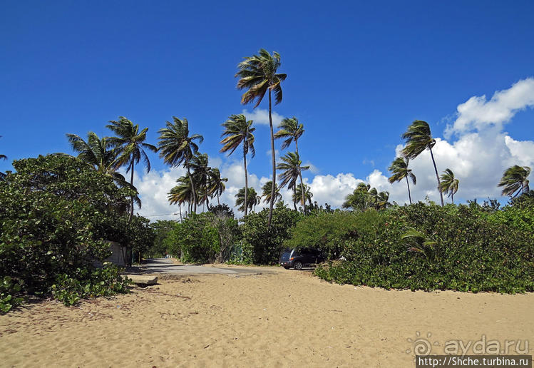 Искали пляж — попали в заповедник
