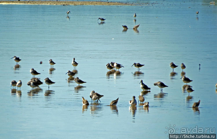 Искали пляж — попали в заповедник