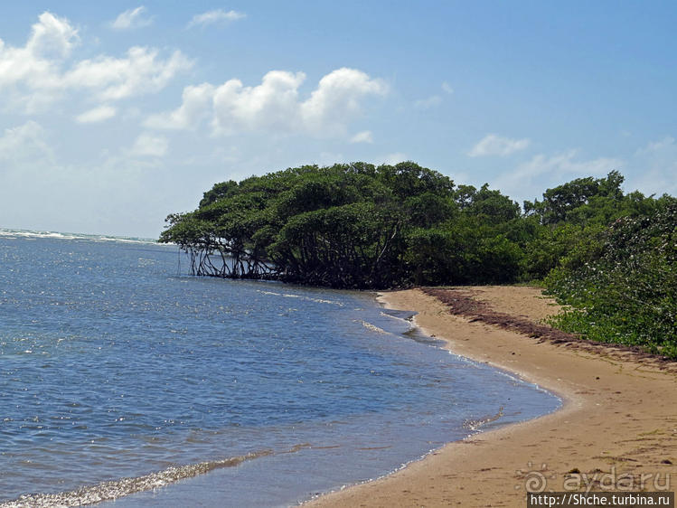 Искали пляж — попали в заповедник