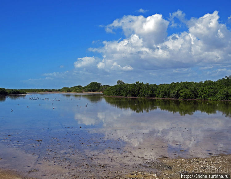Искали пляж — попали в заповедник