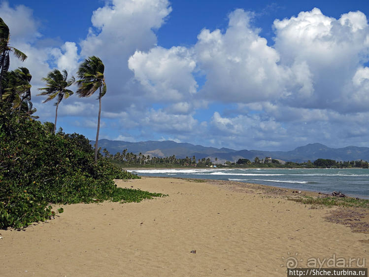 Искали пляж — попали в заповедник