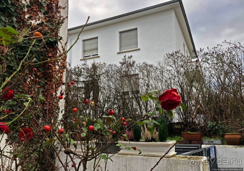 Вайсенхоф — архитектурное наследие Ле Корбюзье (ЮНЕСКО 1321)