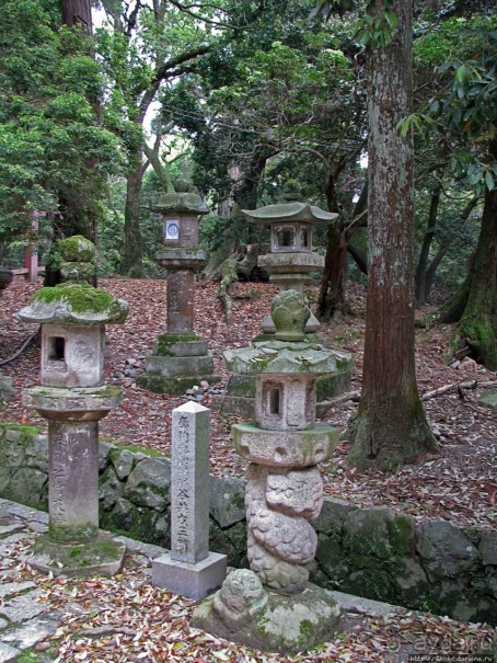 Первобытный лес на горе Касуга в древней столице Японии Наре