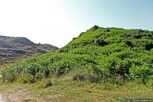 фото Ньюкасла