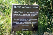 фото Ньюкасла