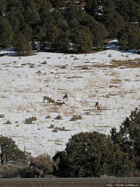 Первая встреча