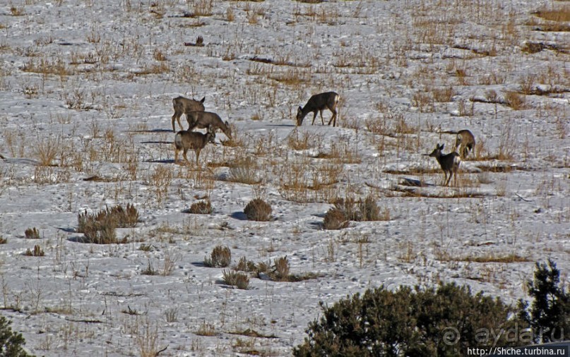 Первая встреча