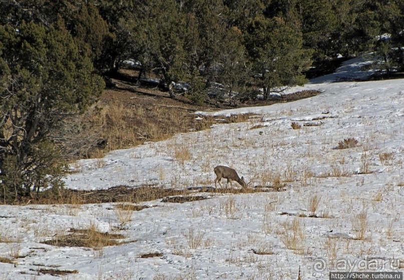 Первая встреча