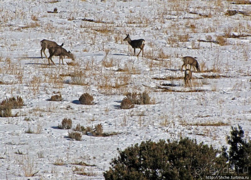 Первая встреча