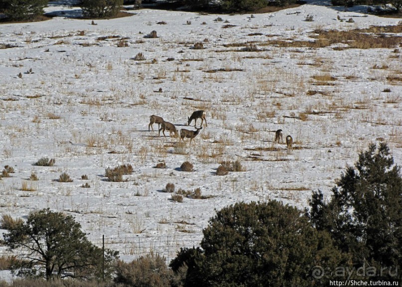 Первая встреча