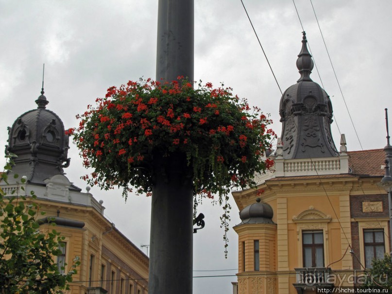Приятное знакомство с Дебреценом