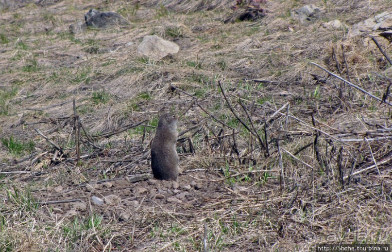 Прогулка к водопаду-призраку Рэйс-фэллс (Wraith falls)