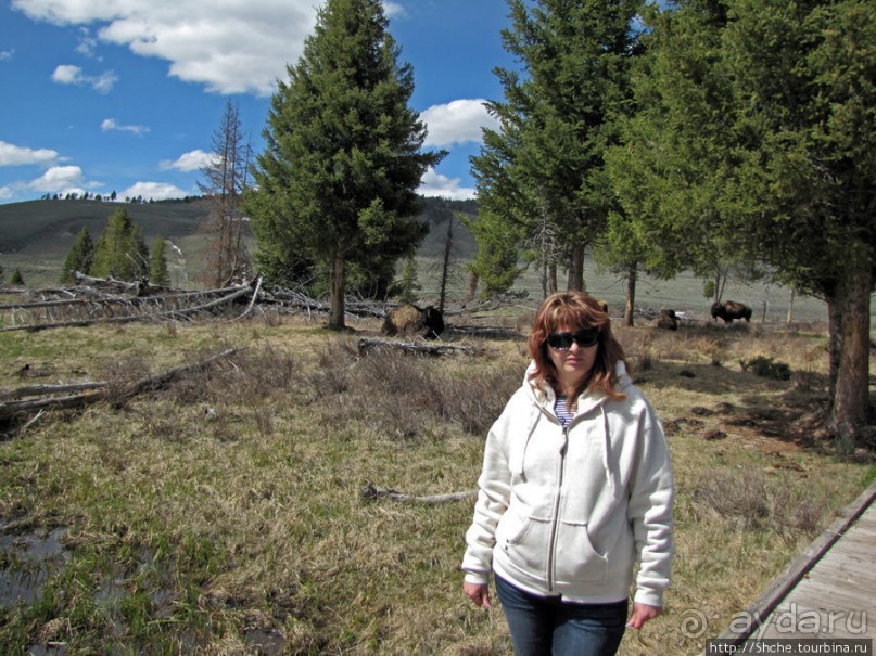 Прогулка к водопаду-призраку Рэйс-фэллс (Wraith falls)