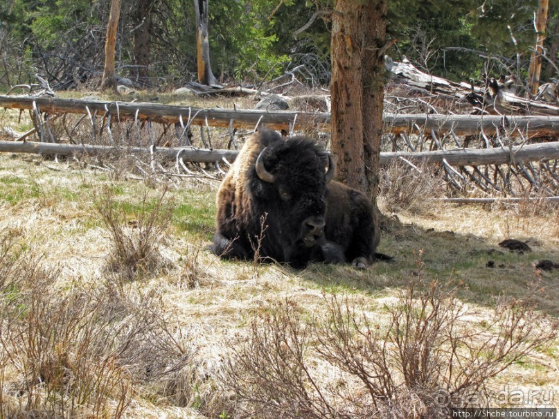 Прогулка к водопаду-призраку Рэйс-фэллс (Wraith falls)