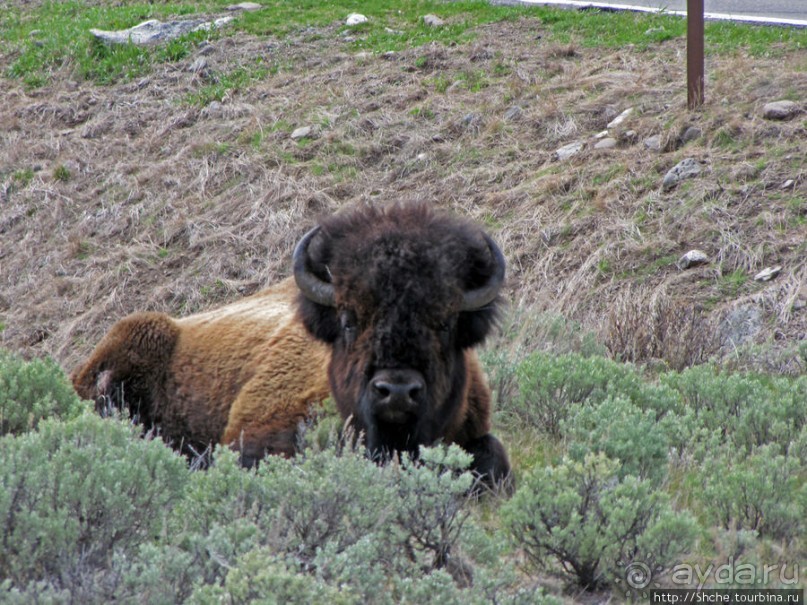 Прогулка к водопаду-призраку Рэйс-фэллс (Wraith falls)