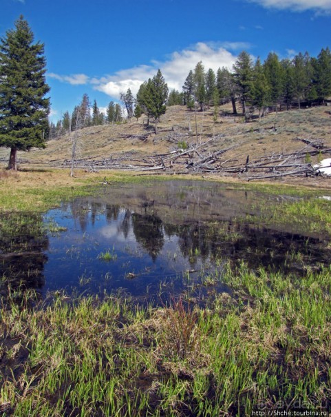 Прогулка к водопаду-призраку Рэйс-фэллс (Wraith falls)