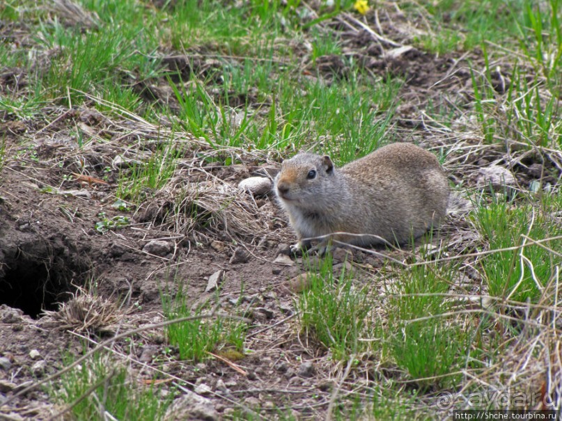 Прогулка к водопаду-призраку Рэйс-фэллс (Wraith falls)