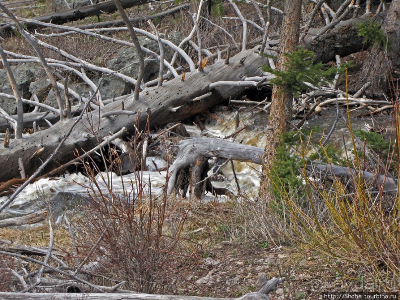 Прогулка к водопаду-призраку Рэйс-фэллс (Wraith falls)
