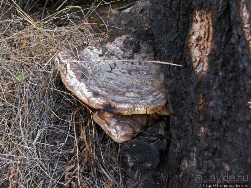 Прогулка к водопаду-призраку Рэйс-фэллс (Wraith falls)