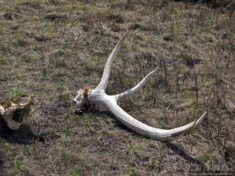 Прогулка к водопаду-призраку Рэйс-фэллс (Wraith falls)