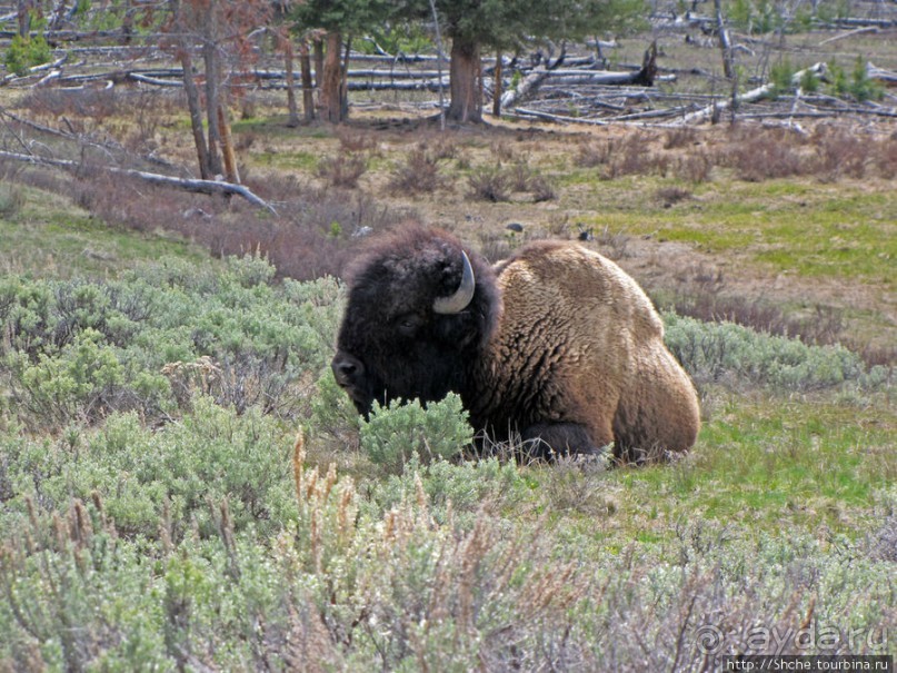 Прогулка к водопаду-призраку Рэйс-фэллс (Wraith falls)