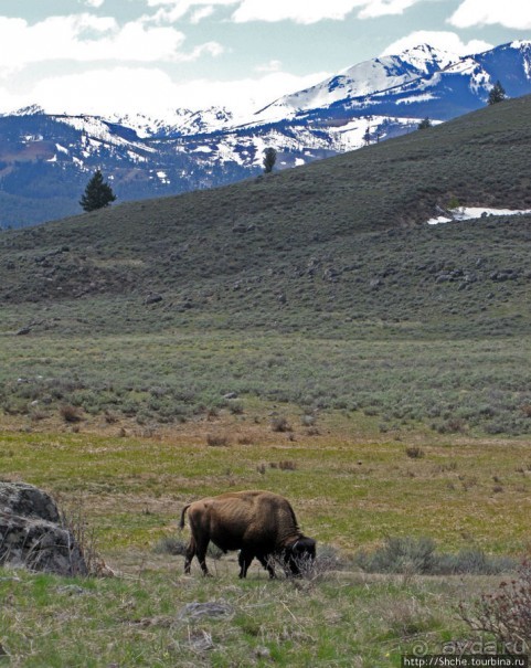 Прогулка к водопаду-призраку Рэйс-фэллс (Wraith falls)