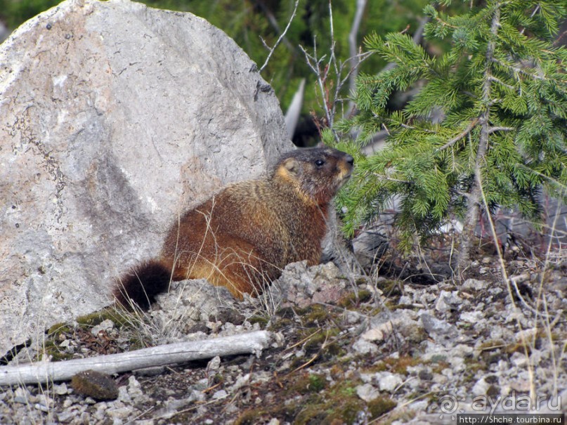 Прогулка к водопаду-призраку Рэйс-фэллс (Wraith falls)