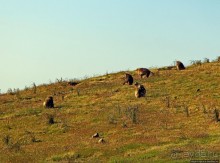 Национальный парк Сымен. Знакомство с горами и геладами