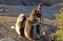 Национальный парк Сымен. Знакомство с горами и геладами
