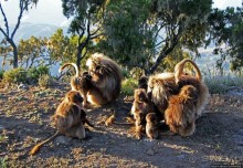 Национальный парк Сымен. Знакомство с горами и геладами
